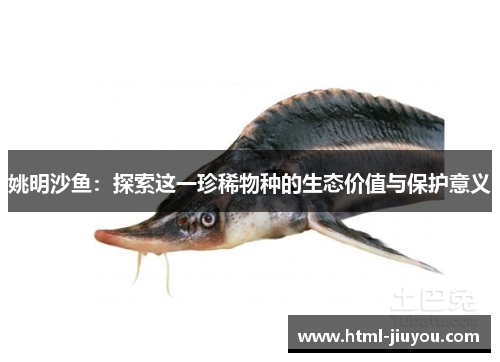 姚明沙鱼:探索这一珍稀物种的生态价值与保护意义 姚明沙鱼:探索这一珍稀物种的生态价值与保护意义