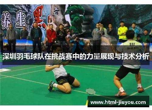 深圳羽毛球队在挑战赛中的力量展现与技术分析